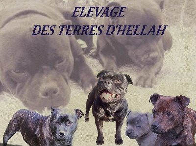Des Terres D'Hellah